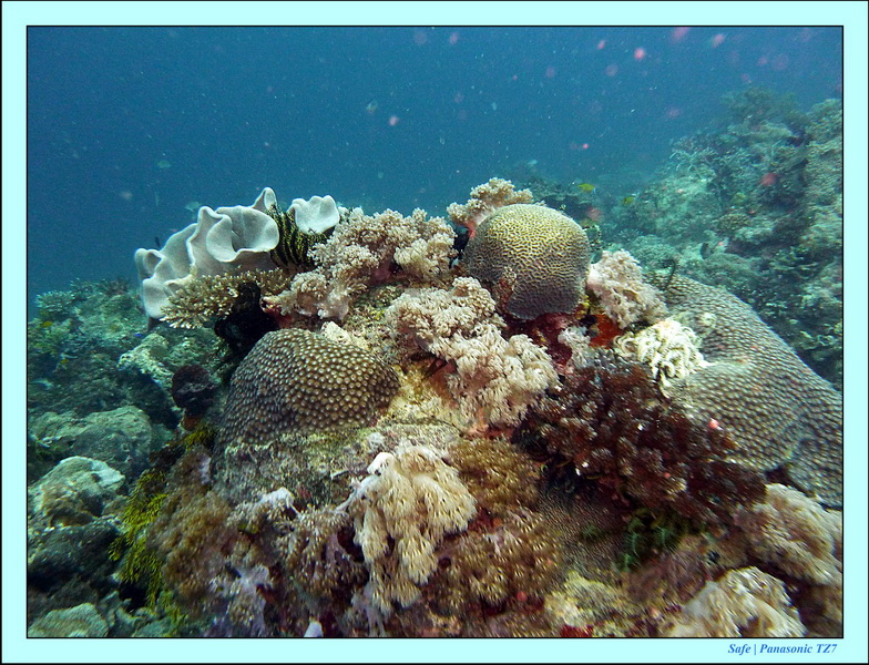 2011 - 08 - Borneo - Mantabuan 02